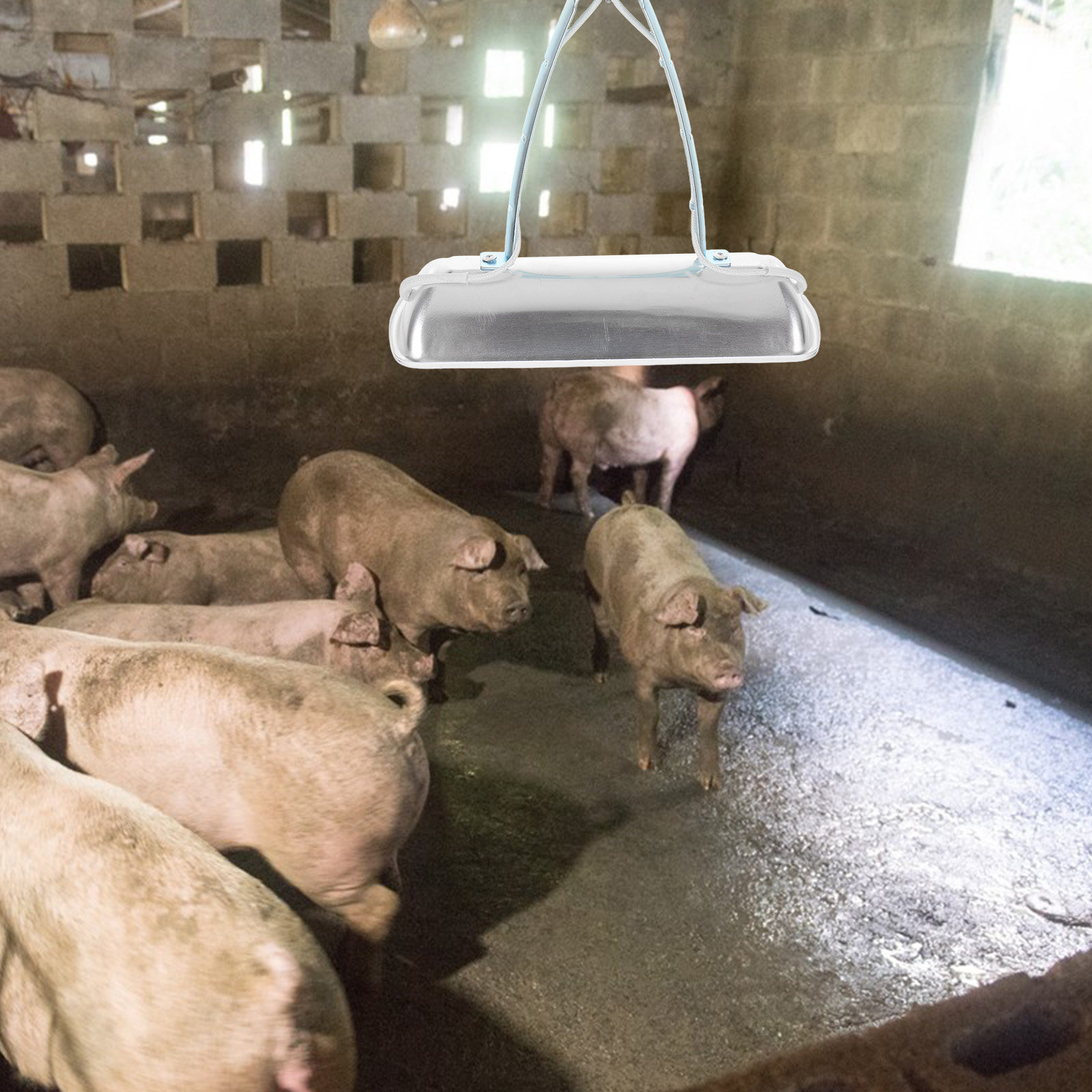 Farming & Agriculture Word Stacks - Żarówka grzewcza E27 250W do hodowli