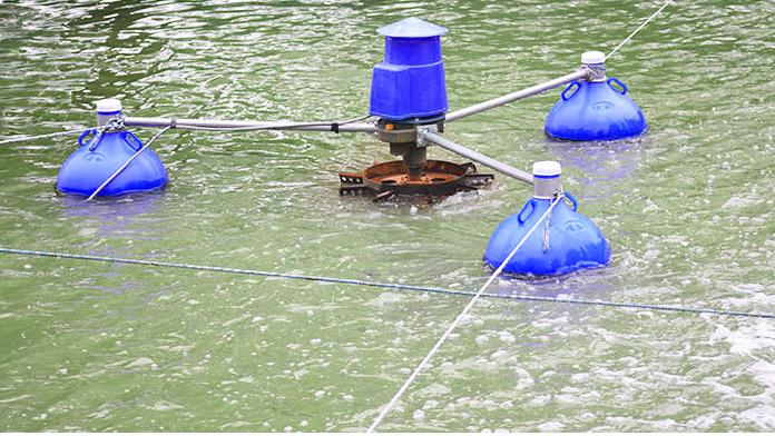 Aerator do oczek hodowlanych r – Fish Pond Aerator recenzja i cena