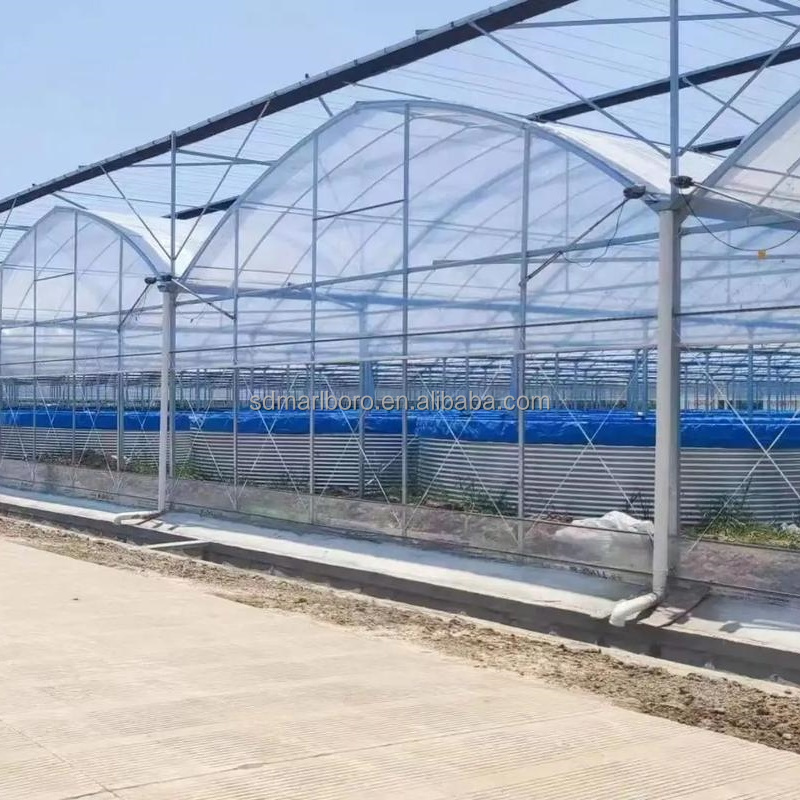 AIROW SDM Duże plastikowe wann – Farm Pond Liner recenzja i cena