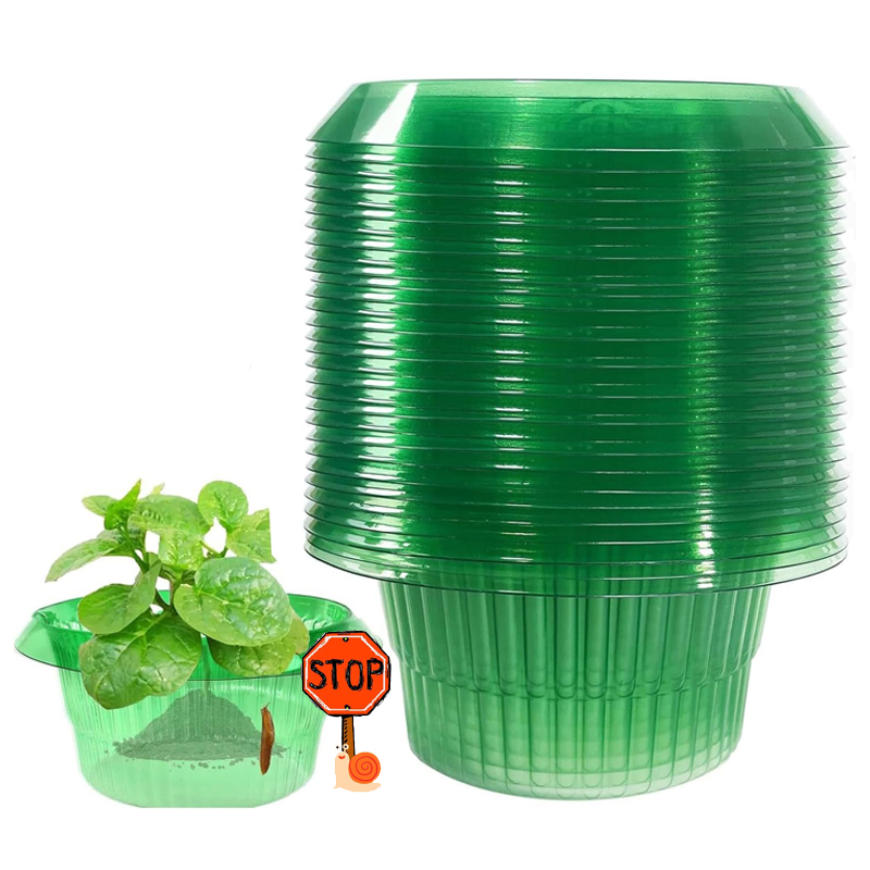 5-25 sztuk rośliny pierścienie – Vegetable Transplanter recenzja i cena