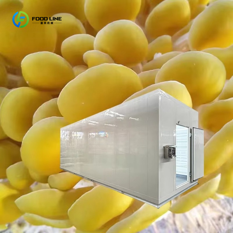 Inteligentna kapsuła do uprawy – Smart Farming Technology In Agriculture recenzja i cena