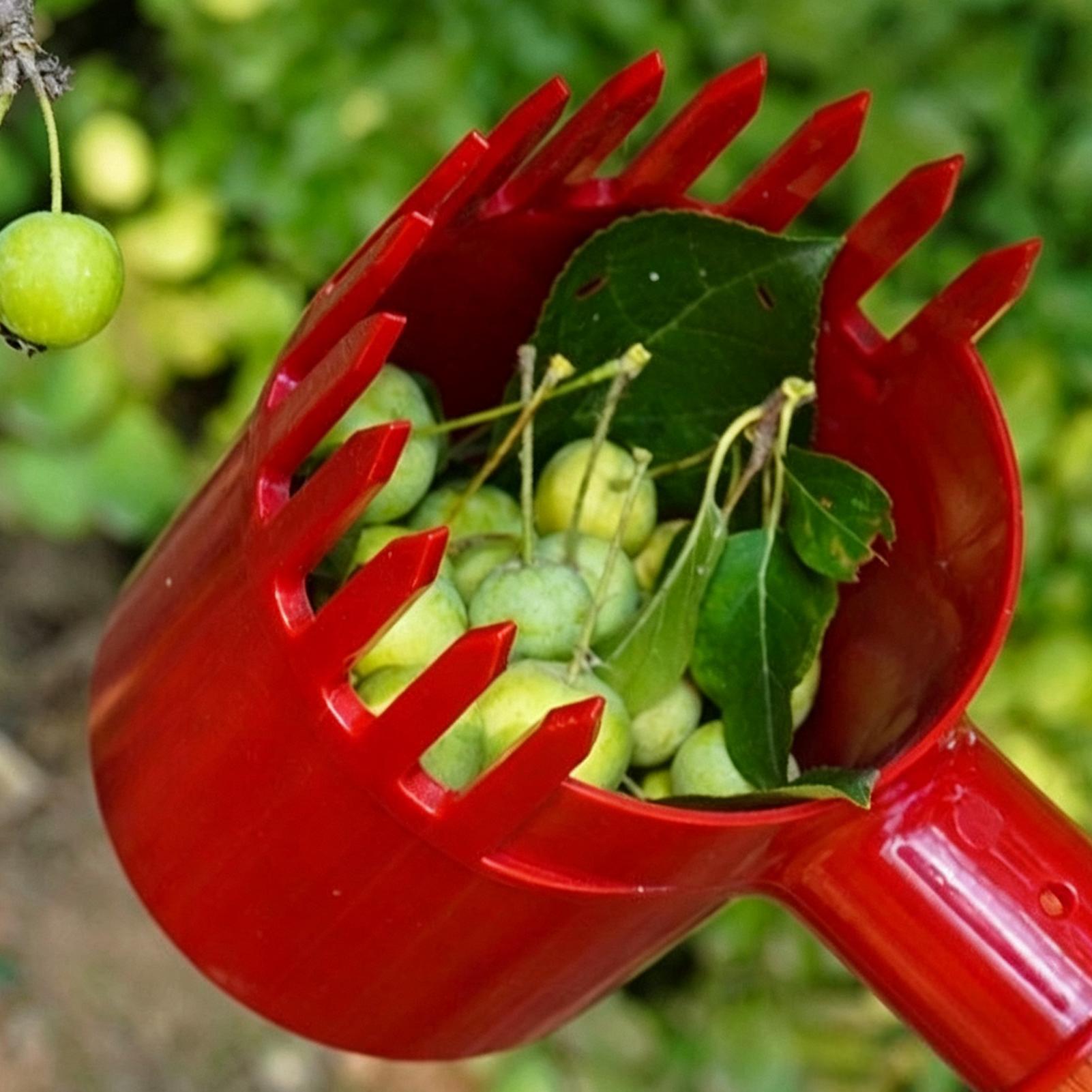 Przenośny zbierak do owoców, n – Agriculture Tomato Farming recenzja i cena