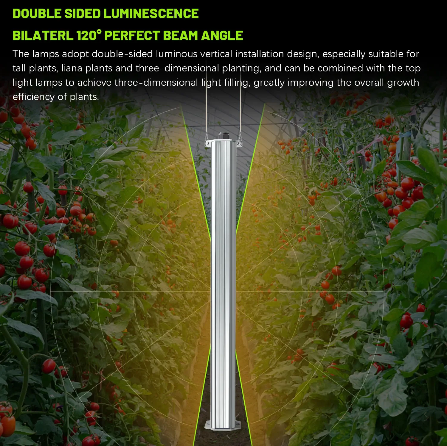 Najlepsze rośliny z listu ETL  – Agriculture Tomato Farming recenzja i cena