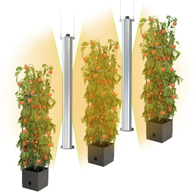 Najlepsze rośliny z listu ETL  – Agriculture Tomato Farming recenzja i cena