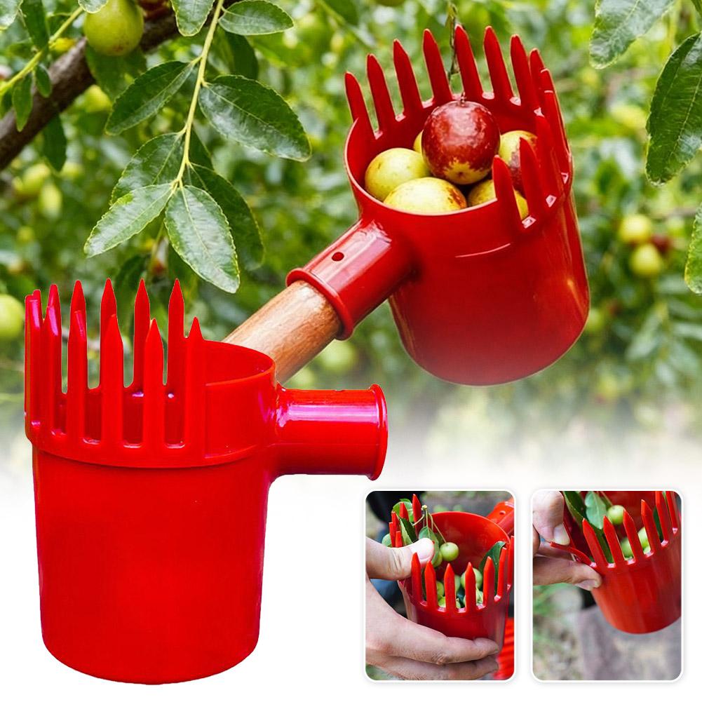 1 szt. Mały zbierak do owoców, – Agriculture Tomato Farming recenzja i cena