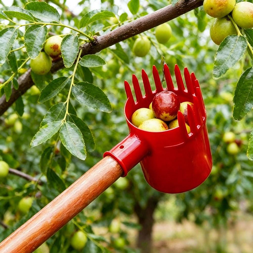 1 szt. Mały zbierak do owoców, – Agriculture Tomato Farming recenzja i cena