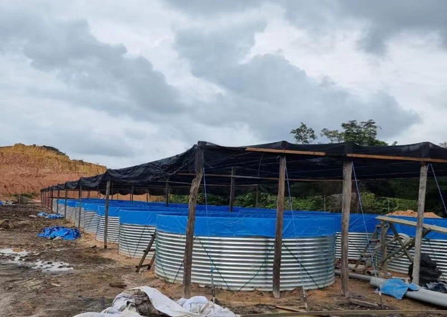 AIROW SDM Wodoodporna plandeka – Farm Pond Liner recenzja i cena