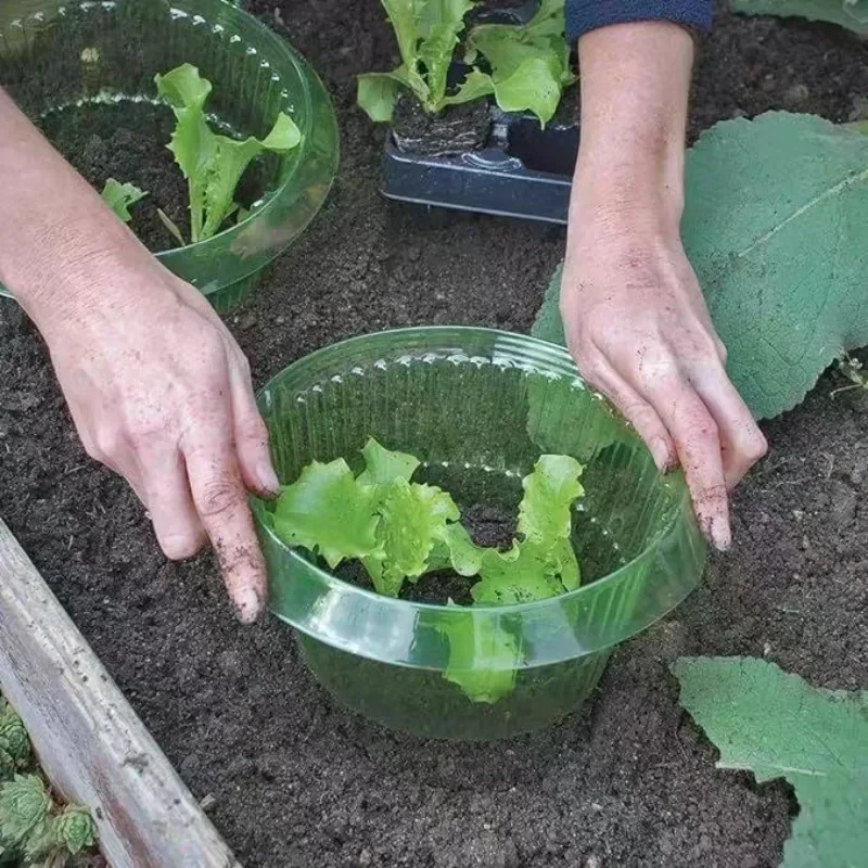 Ochrona roślin przed ślimakami – Vegetable Transplanter recenzja i cena
