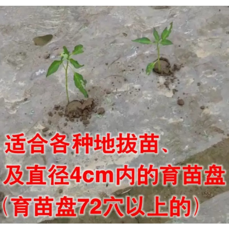 Maszyna do sadzenia sadzonek r – Vegetable Transplanter recenzja i cena