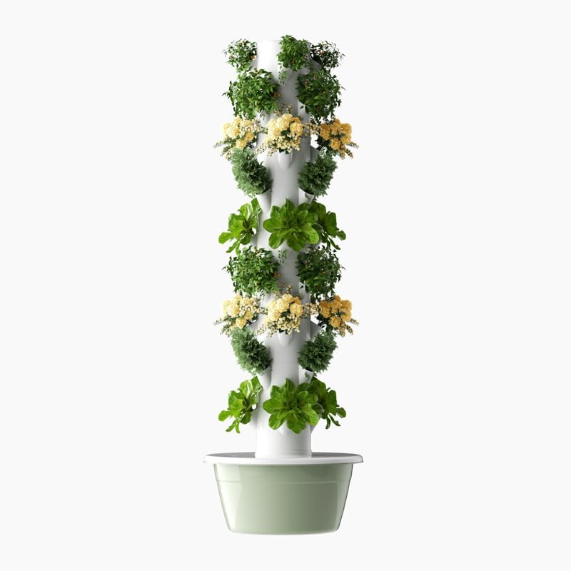 Wieża do hydroponiki pionowej, – Vegetable Transplanter recenzja i cena